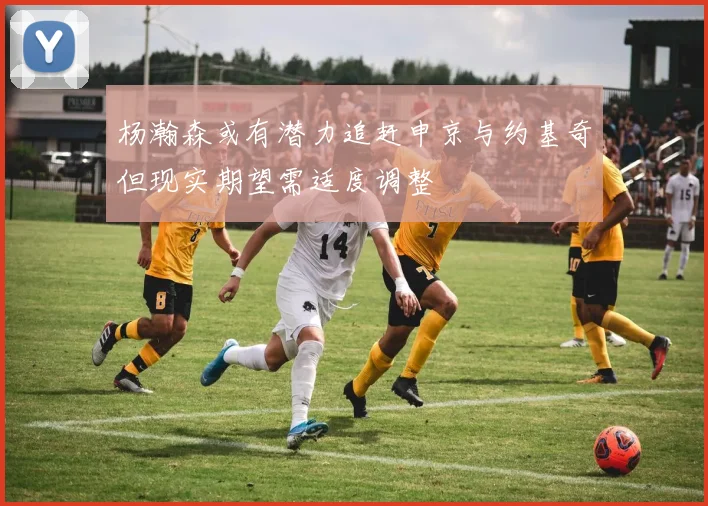 杨瀚森或有潜力追赶申京与约基奇但现实期望需适度调整